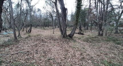 Trans-en-Provence Terrain à bâtir - 2422276-10295annonce120250519CE1wG.jpeg Maisons Open