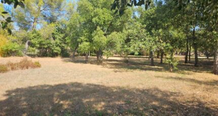 Le Cannet-des-Maures Terrain à bâtir - 2422281-10295annonce320250922CNDOp.jpeg Maisons Open