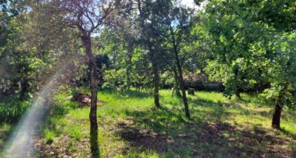 Le Cannet-des-Maures Terrain à bâtir - 2385383-11137annonce1202504301Mue2.jpeg Maisons Open