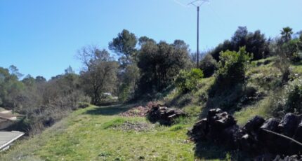 Brignoles Terrain à bâtir - 2385534-10746annonce120260108i7V1H.jpeg Maisons Open