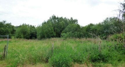 Chars Terrain à bâtir - 2422721-11688annonce120260209xDLOS.jpeg Maisons Open