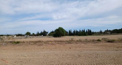 Sauvian Terrain à bâtir - 2423269-11040annonce120260209DKNOA.jpeg Maisons Open