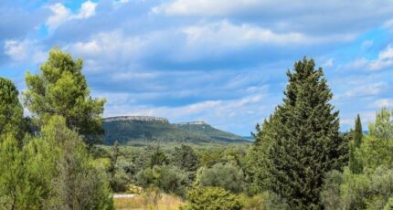 Valflaunès Terrain à bâtir - 2362009-609annonce1202512092TvNQ.jpeg Maisons Open