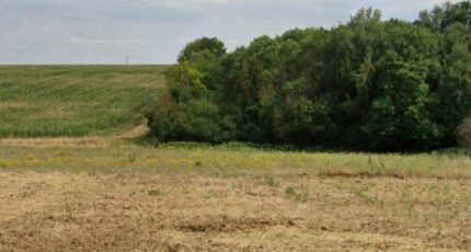 Gas Terrain à bâtir - 2387431-10686annonce120250918gX4vh.jpeg Maisons Open