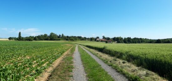 Terrain à bâtir à Boullay-les-Troux, Île-de-France