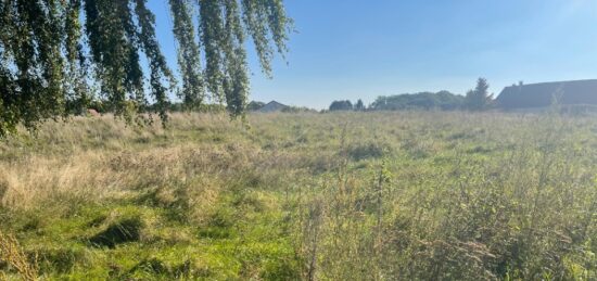 Terrain à bâtir à Vulaines-sur-Seine, Île-de-France