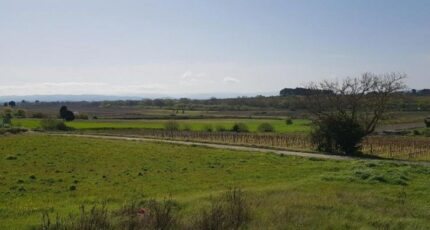 Pezens Terrain à bâtir - 2424866-10986annonce120250626F8NNv.jpeg Maisons Open