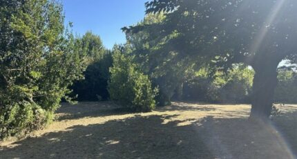 Mas-Saintes-Puelles Terrain à bâtir - 2425013-10986annonce120251003flAvS.jpeg Maisons Open