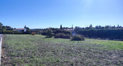 Garéoult Terrain à bâtir - 2389688-11039annonce120260112oQB0W.jpeg Maisons Open