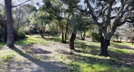 Vidauban Terrain à bâtir - 2389670-11039annonce320260112nbTeX.jpeg Maisons Open