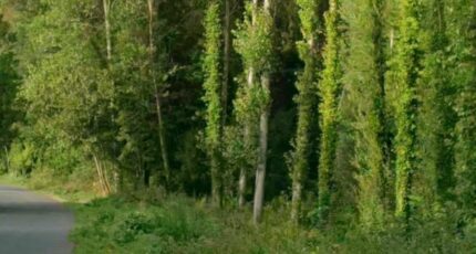 Ormoy-la-Rivière Terrain à bâtir - 2426028-4684annonce120260211a6cm8.jpeg Maisons Open