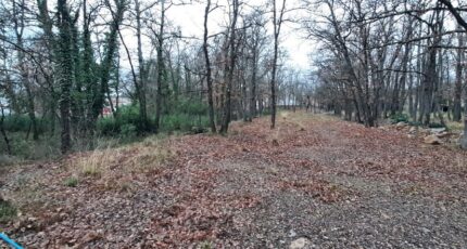 Trans-en-Provence Terrain à bâtir - 2426215-10152annonce1202602129XBTb.jpeg Maisons Open