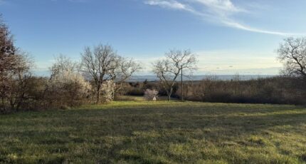 Labécède-Lauragais Terrain à bâtir - 2426449-10986annonce1202602122fq1o.jpeg Maisons Open