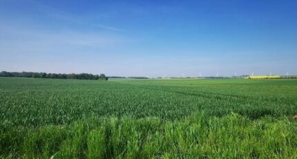 Falaise Terrain à bâtir - 2359290-11227annonce120251205bOU3T.jpeg Maisons Open