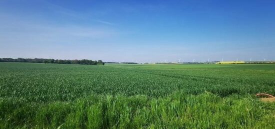 Terrain à bâtir à Falaise, Normandie