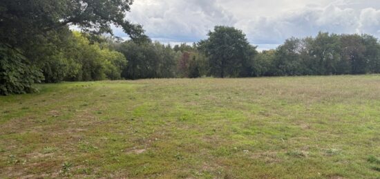 Terrain à bâtir à Montastruc-la-Conseillère, Occitanie