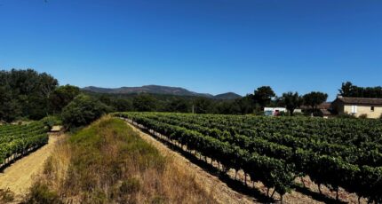 Saint-Tropez Terrain à bâtir - 2368638-3701annonce120251215uZrwI.jpeg Maisons Open