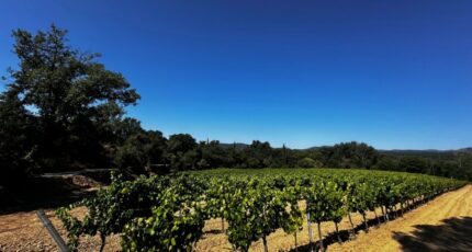 Saint-Tropez Terrain à bâtir - 2368638-3701annonce220251215T7ZKq.jpeg Maisons Open