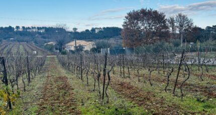 Lorgues Terrain à bâtir - 2368924-4529annonce120251215eJl1q.jpeg Maisons Open