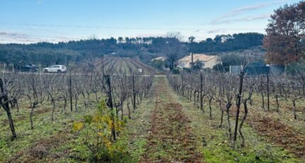 Lorgues Terrain à bâtir - 2368924-4529annonce220251215PBZUb.jpeg Maisons Open