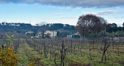 Lorgues Terrain à bâtir - 2368924-4529annonce320251215L6UFr.jpeg Maisons Open