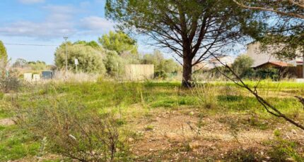 Cuers Terrain à bâtir - 2390481-4866annonce420260113MwNwG.jpeg Maisons Open