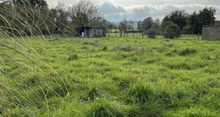 Rouans Terrain à bâtir - 2422774-11110annonce120260209uOz8v.jpeg Maisons Open