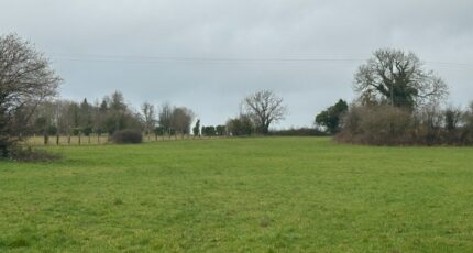 Vendes Terrain à bâtir - 2428903-11660annonce120260213ZzeKv.jpeg Maisons Open