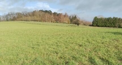 Mareuil-la-Motte Terrain à bâtir - 2365991-11662annonce120251211aiMgw.jpeg Maisons Open