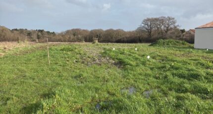 La Plaine-sur-Mer Terrain à bâtir - 2432299-11110annonce12026021760ePS.jpeg Maisons Open