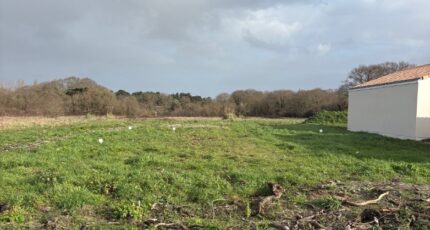 La Plaine-sur-Mer Terrain à bâtir - 2432299-11110annonce3202602172mpaE.jpeg Maisons Open