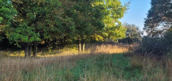 Terrain à bâtir à , Seine-et-Marne