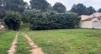Fontvieille Terrain à bâtir - 2395028-11073annonce120260116gUC8o.jpeg Maisons Open