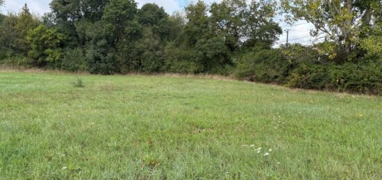 Terrain à bâtir à , Tarn