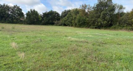 Saint-Sulpice Terrain à bâtir - 2435381-11356annonce320260220kw1AB.jpeg Maisons Open