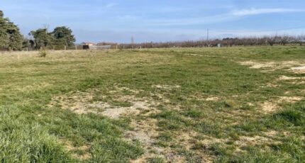 Étables Terrain à bâtir - 2432449-11248annonce220260217fzTNm.jpeg Maisons Open