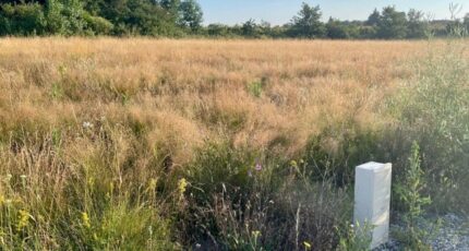 Étables Terrain à bâtir - 2433082-11248annonce220260218TZcKO.jpeg Maisons Open