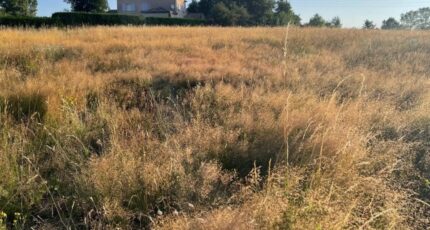 Étables Terrain à bâtir - 2433095-11248annonce320260218JJw3U.jpeg Maisons Open