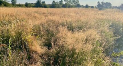 Étables Terrain à bâtir - 2433095-11248annonce420260218PJU0w.jpeg Maisons Open