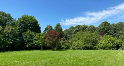 Mennecy Terrain à bâtir - 2436818-4684annonce120260221gxQV5.jpeg Maisons Open