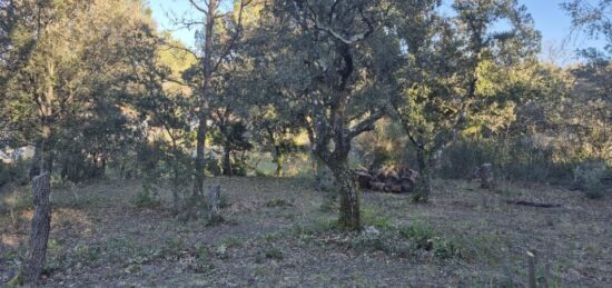 Terrain à bâtir à Saint-Maximin-la-Sainte-Baume, Provence-Alpes-Côte d'Azur