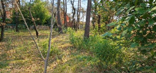 Terrain à bâtir à Rocbaron, Provence-Alpes-Côte d'Azur