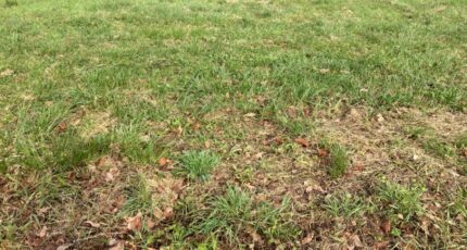 Saint-Georges-des-Coteaux Terrain à bâtir - 2423336-10974annonce120260209U9QiE.jpeg Maisons Open