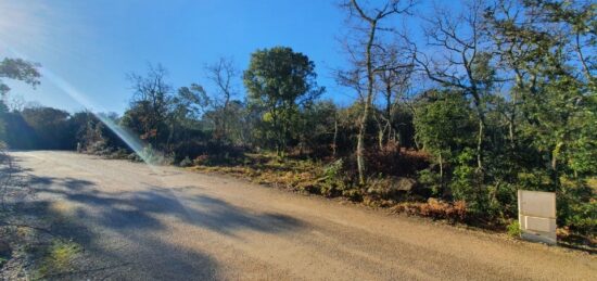 Terrain à bâtir à Labastide-de-Virac, Auvergne-Rhône-Alpes