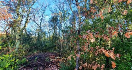 Labastide-de-Virac Terrain à bâtir - 2437324-5100annonce220260223wRV2x.jpeg Maisons Open