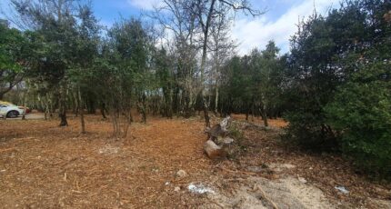 Labastide-de-Virac Terrain à bâtir - 2437371-5100annonce120260223O6KuT.jpeg Maisons Open