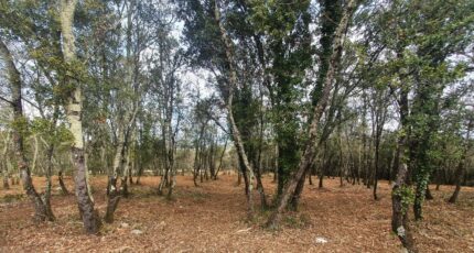 Labastide-de-Virac Terrain à bâtir - 2437371-5100annonce220260223TtiyD.jpeg Maisons Open