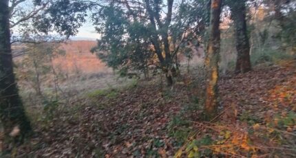 Barjac Terrain à bâtir - 2437409-5100annonce220260223ulPOq.jpeg Maisons Open