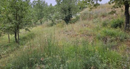 Saint-Paul-en-Forêt Terrain à bâtir - 2438798-5163annonce120260223kIU11.jpeg Maisons Open