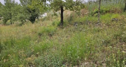 Saint-Paul-en-Forêt Terrain à bâtir - 2438798-5163annonce220260223xuAfB.jpeg Maisons Open